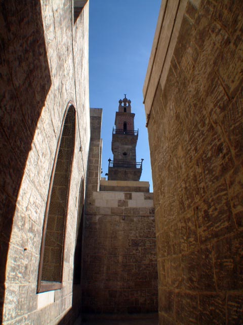 ���̓���ڎw����