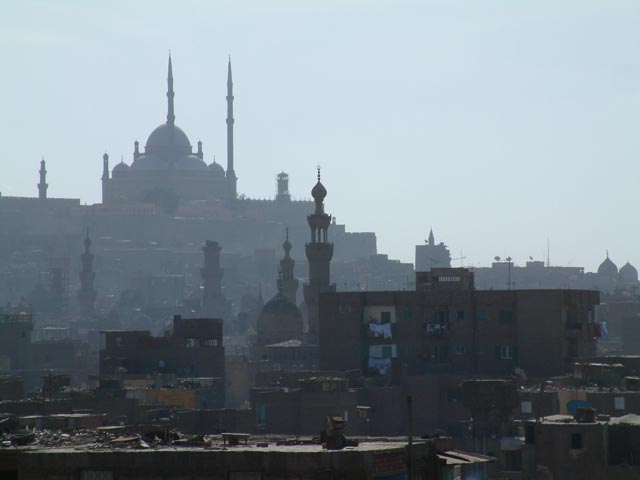 �V�^�f������