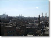 �V�^�f������