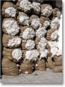 ���������r�сH