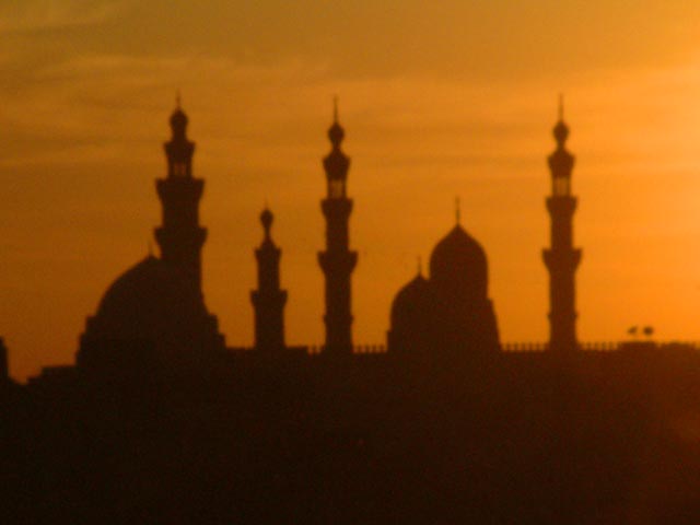 �[���̃V�^�f���n��