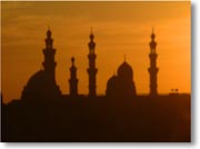 �[���̃V�^�f���n��