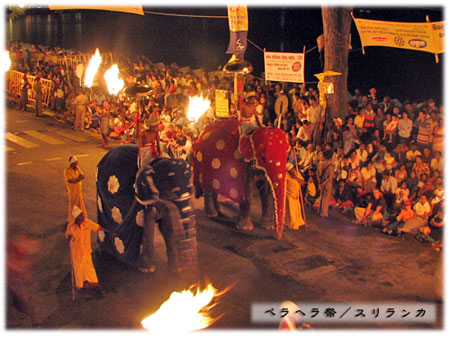 �y���w����(�X�������J)