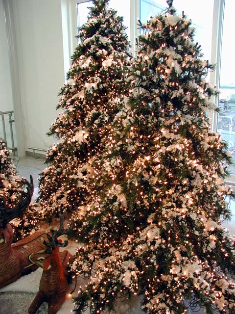 �N���X�}�X�c���[