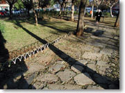 �z�e���̋߂��̗�