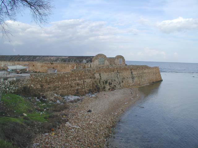 ���F�l�`�A����̍`