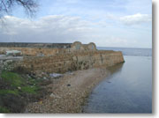 ���F�l�`�A����̍`