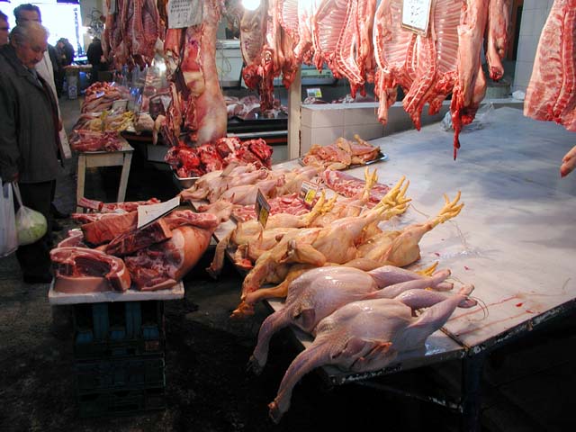 ���̌{�̃A�b�v