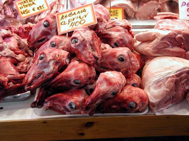 ���̌{�̃A�b�v