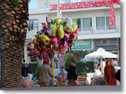 �s�J�`���[�̕��D