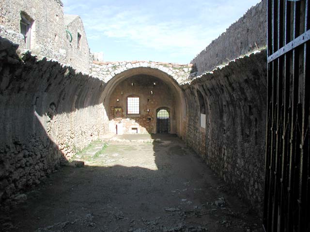 �C�����B�����M����������