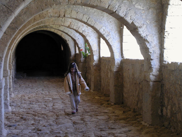 ��L���������