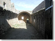 �C�����B�����M����������