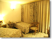 �z�e���u�J���f�B�A�E�}���X�v�̕���