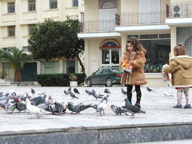 ���ɉa��������q������