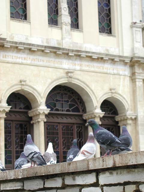 ����̑O�̔�����