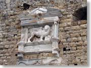 ���F�l�c�B�A���a���̖��