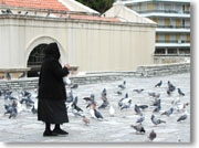 �~�T�ɂ���Ă������k����