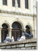 ����̑O�̔�����