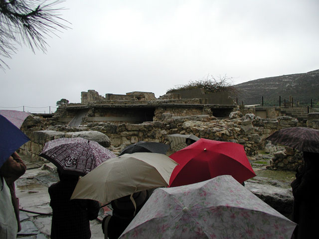 �J�̃N�m�b�\�X�{�a