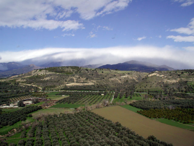 �o�X���猩�����i