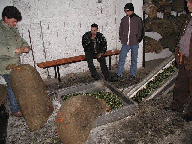 �I���[�u�I�C���H��œ����j����