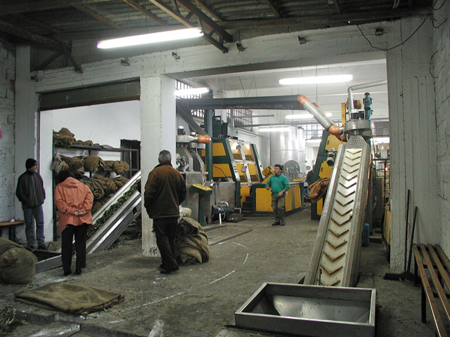 �I���[�u�I�C���H����̗l�q