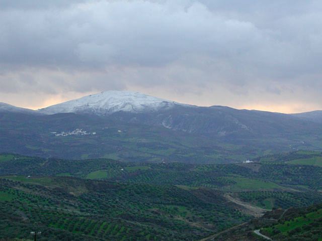 ��������R