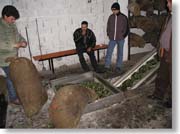 �I���[�u�I�C���H��œ����j����