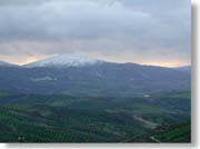 ��������R