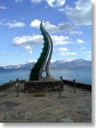 �C�J�H�^�R�H