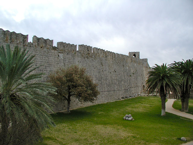 �R�m�c���̋{�a�O�ςP