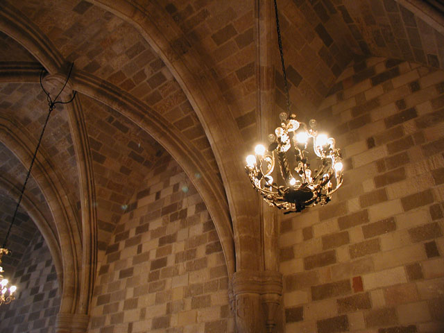 �V�����f���A