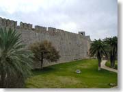 �R�m�c���̋{�a�O�ςP