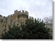 �R�m�c���̋{�a�O�ςR