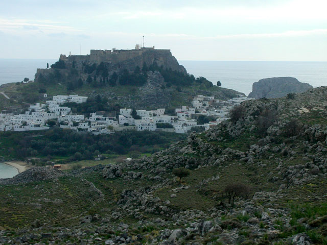 �����h�X�̋u�P