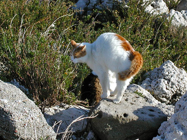 ������������L