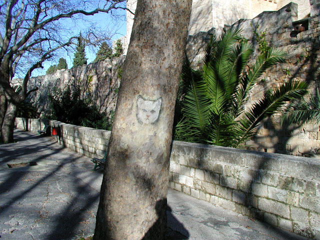 �؂ɑ~���ꂽ�L�̊G