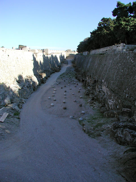 ��Y���̓��P