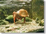 �ςȊk��S�������h�J���H