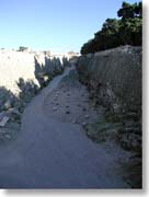 ��Y���̓��P