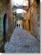 ��Y���̓��Q