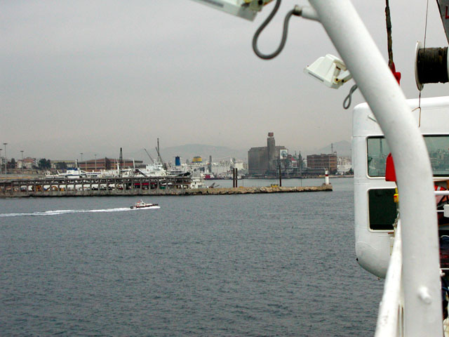 �t�F���[���猩���A�e�l�P