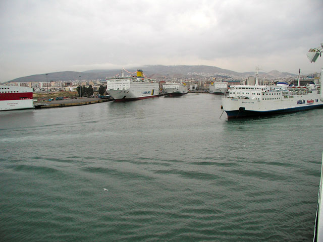 �t�F���[���猩���A�e�l�Q