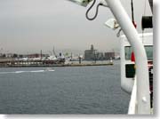 �t�F���[���猩���A�e�l�P