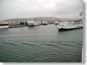 �t�F���[���猩���A�e�l�Q