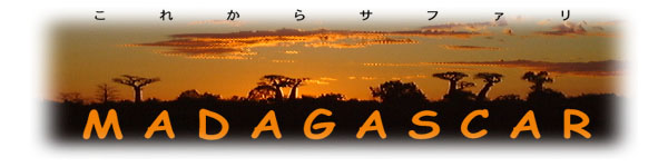 �}�_�K�X�J���̃^�C�g�����S