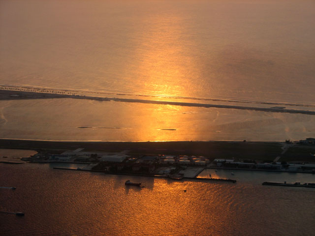 �����ɋP����`��