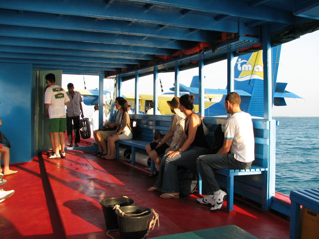 �h�[�j�̒��̗l�q