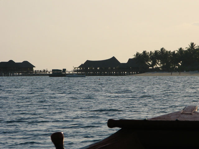 ���B�����[�t�̃V���G�b�g